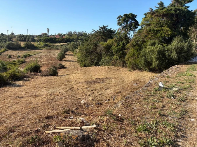 Terreno para Venda em São João das Lampas e Terrugem Foto 6