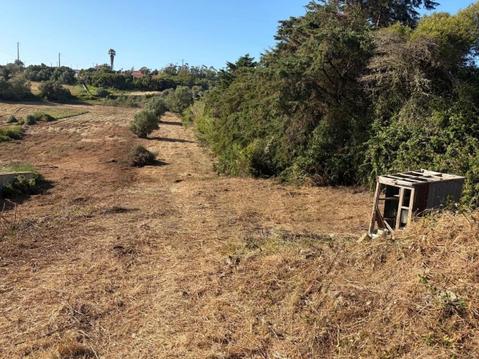 Terreno para Venda em São João das Lampas e Terrugem Foto 3