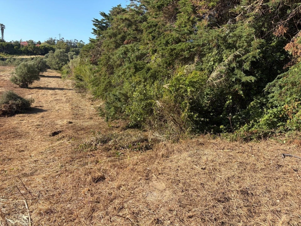 Terreno para Venda em São João das Lampas e Terrugem Foto 4