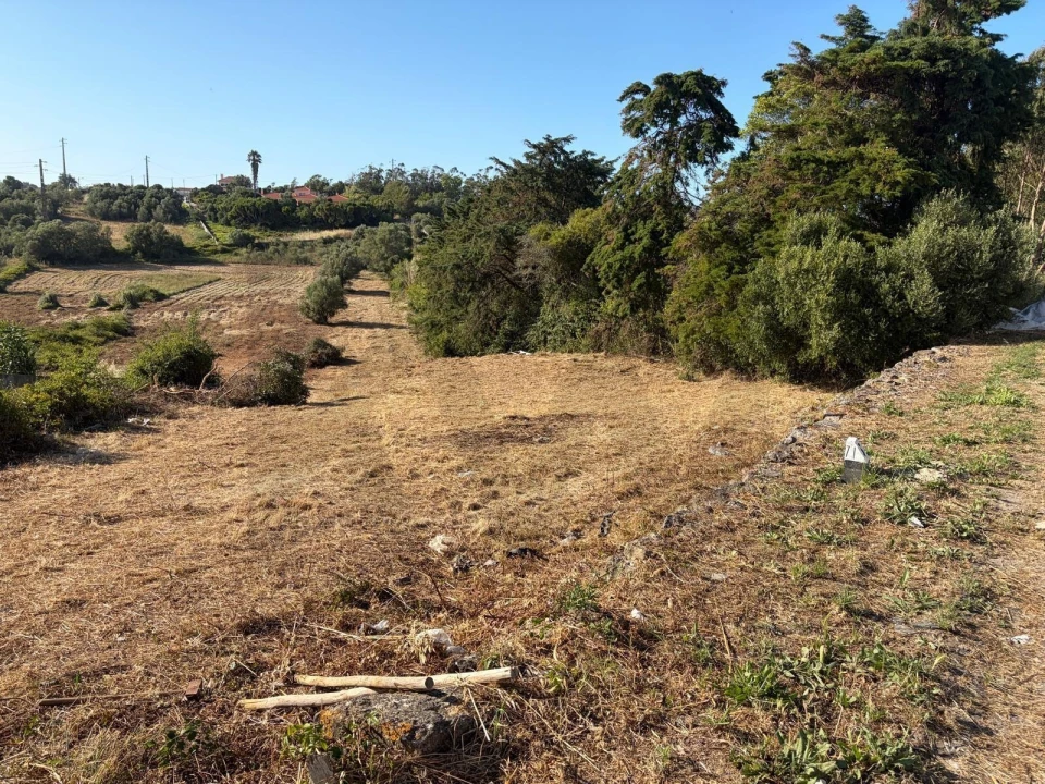 Terreno para Venda em São João das Lampas e Terrugem Foto 6