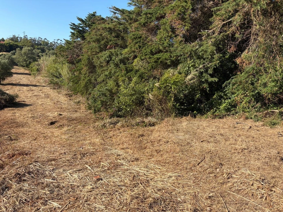 Terreno para Venda em São João das Lampas e Terrugem Foto 5
