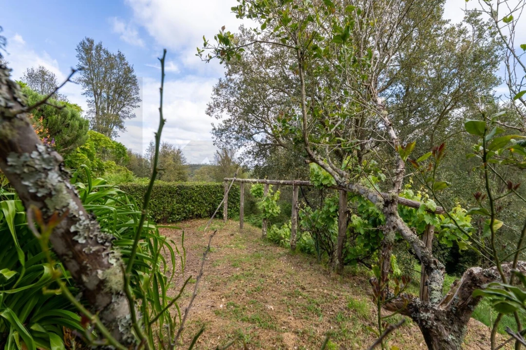 Quinta T4 para Venda em Monchique Foto 42