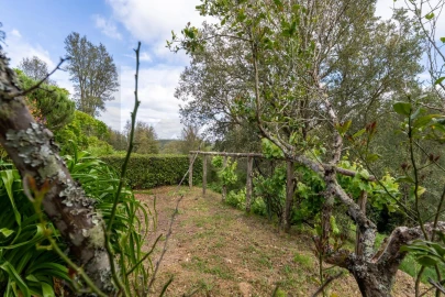 Quinta T4 para Venda em Monchique