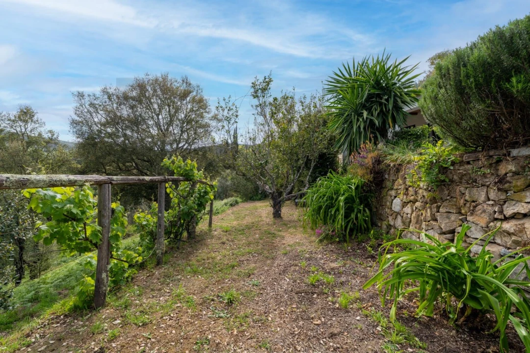 Quinta T6 para Venda em Monchique Foto 45