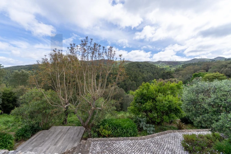 Quinta T6 para Venda em Monchique Foto 44