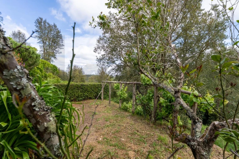 Quinta T4 para Venda em Monchique Foto 42