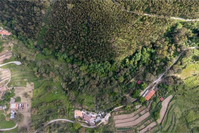 Quinta T6 para Venda em Monchique Foto 47