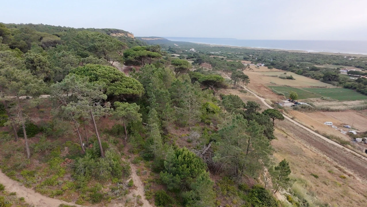 Terreno para Venda em Charneca de Caparica e Sobreda Foto 20