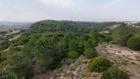 Terreno para Venda em Charneca de Caparica e Sobreda