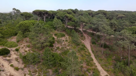 Terreno para Venda em Charneca de Caparica e Sobreda