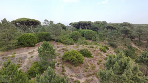 Terreno para Venda em Charneca de Caparica e Sobreda