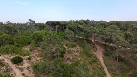 Terreno para Venda em Charneca de Caparica e Sobreda