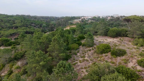 Terreno para Venda em Charneca de Caparica e Sobreda