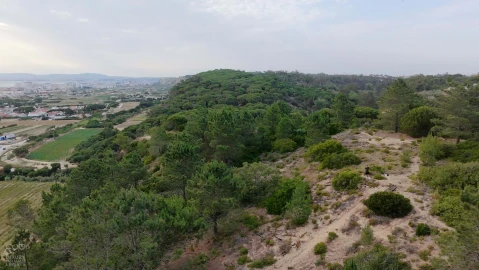 Terreno para Venda em Charneca de Caparica e Sobreda