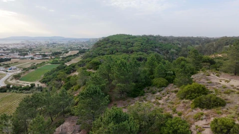 Terreno para Venda em Charneca de Caparica e Sobreda
