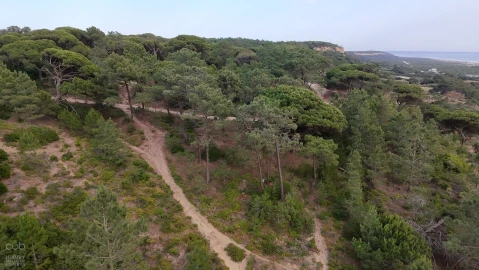 Terreno para Venda em Charneca de Caparica e Sobreda