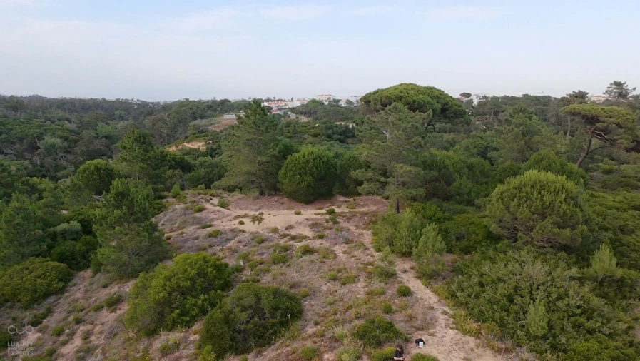 Terreno para Venda em Charneca de Caparica e Sobreda Foto 27
