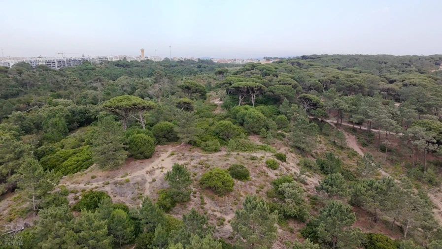Terreno para Venda em Charneca de Caparica e Sobreda Foto 7