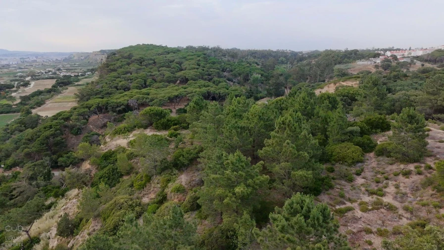 Terreno para Venda em Charneca de Caparica e Sobreda Foto 15