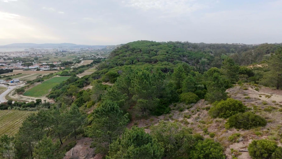 Terreno para Venda em Charneca de Caparica e Sobreda Foto 24