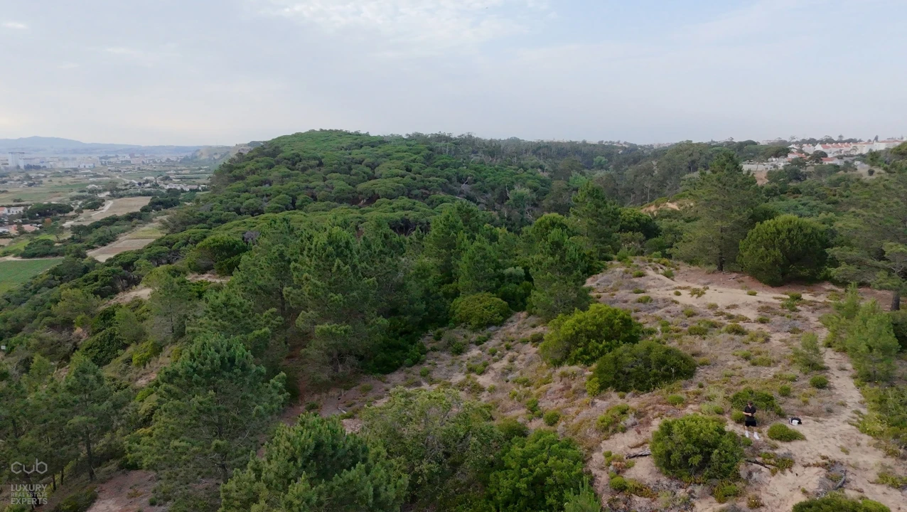 Terreno para Venda em Charneca de Caparica e Sobreda Foto 25
