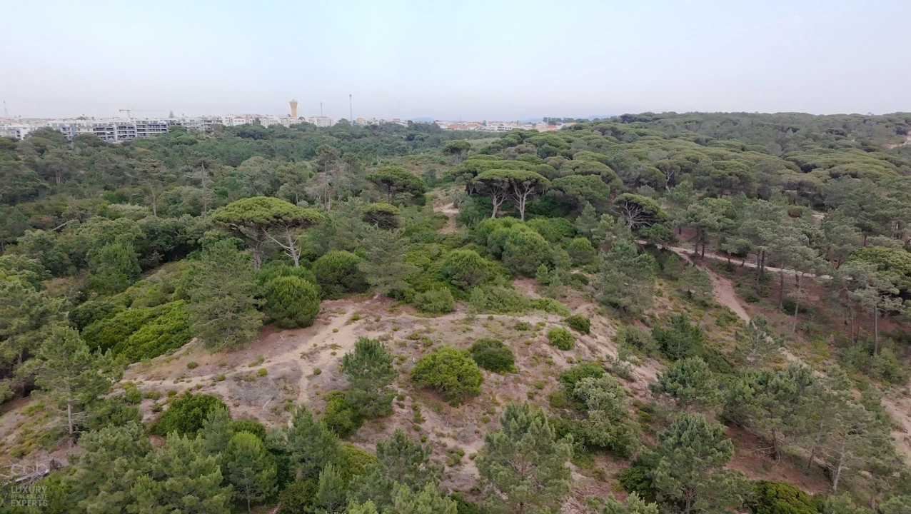 Terreno para Venda em Charneca de Caparica e Sobreda Foto 7
