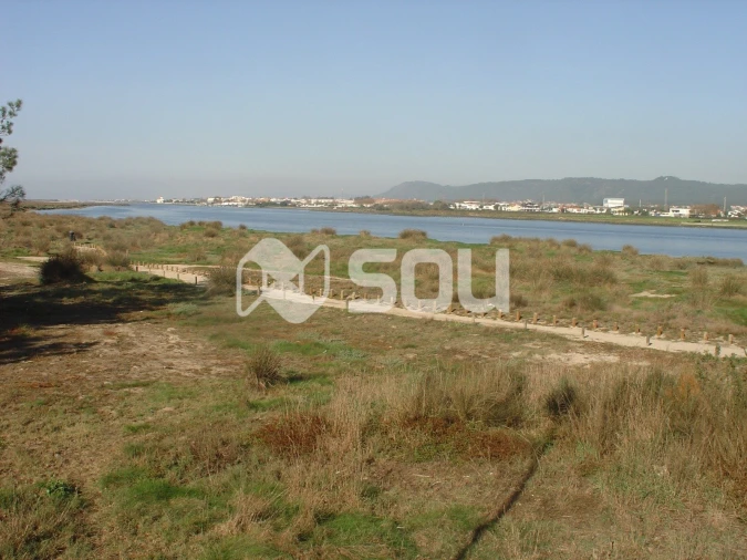 Moradia T3 para Venda em Apúlia e Fão Foto 14