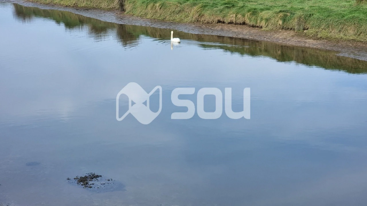 Moradia T3 para Venda em Apúlia e Fão Foto 15