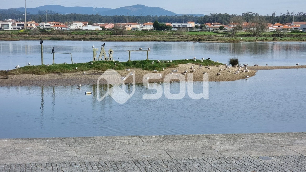 Moradia T3 para Venda em Apúlia e Fão Foto 4