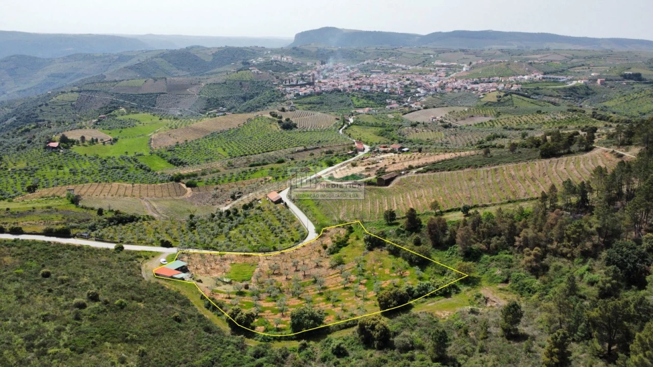 Quinta para Venda em Freixo de Espada a Cinta e Mazouco Foto 1