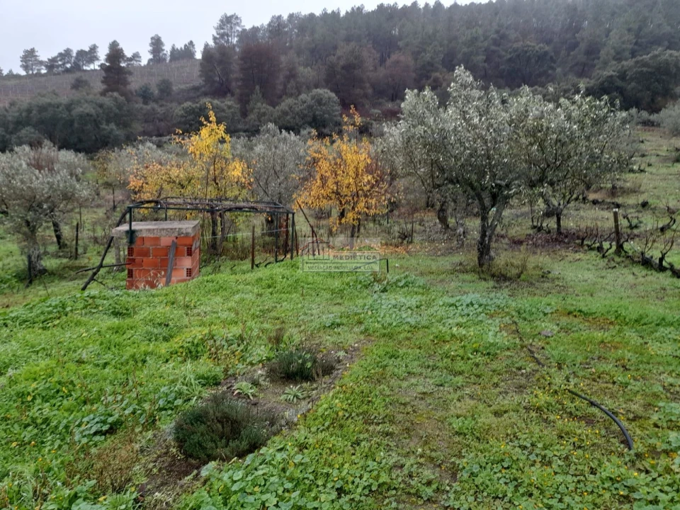Quinta para Venda em Freixo de Espada a Cinta e Mazouco Foto 13