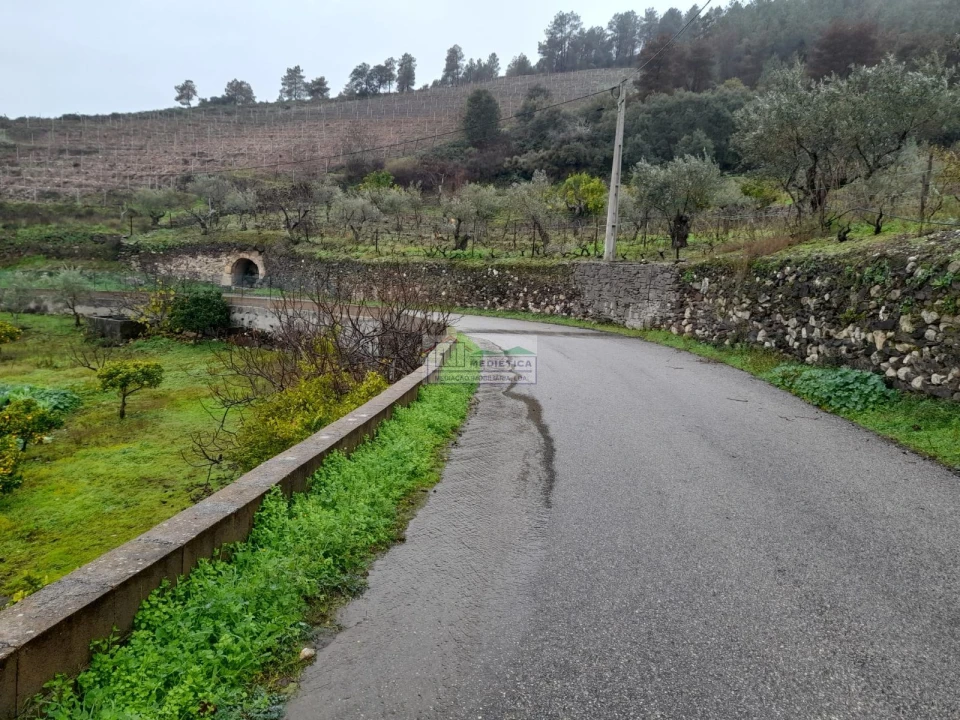 Quinta para Venda em Freixo de Espada a Cinta e Mazouco Foto 19