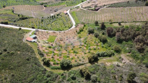 Quinta para Venda em Freixo de Espada a Cinta e Mazouco