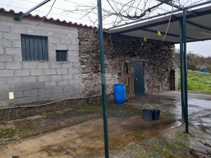 Quinta para Venda em Freixo de Espada a Cinta e Mazouco Foto 10