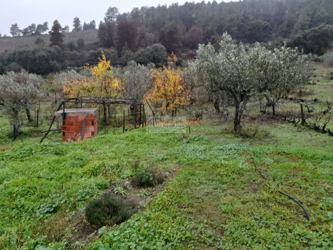 Quinta para Venda em Freixo de Espada a Cinta e Mazouco Foto 13