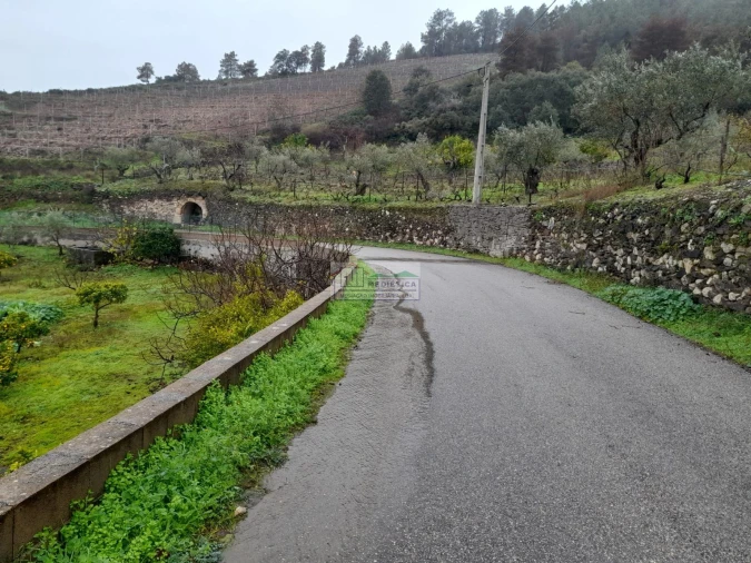 Quinta para Venda em Freixo de Espada a Cinta e Mazouco Foto 19