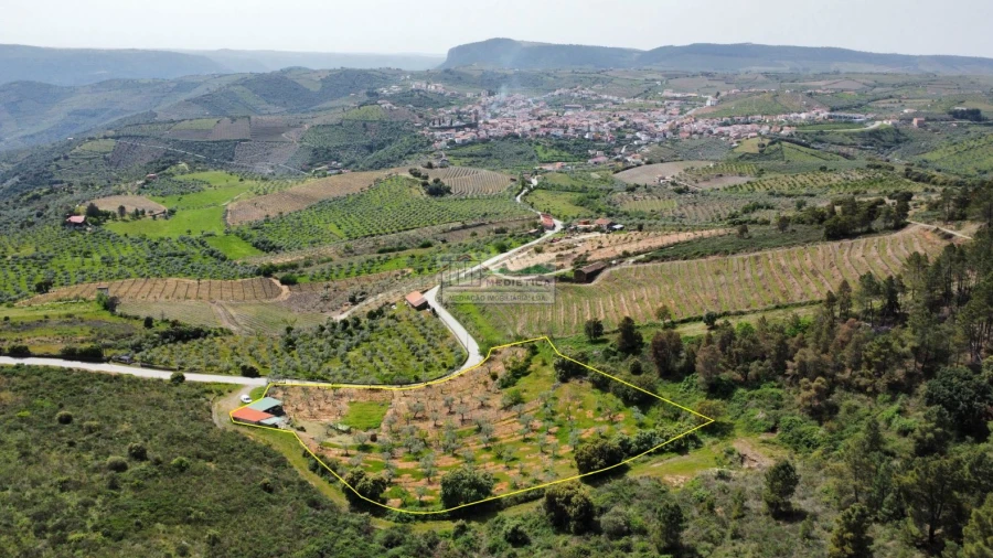 Quinta para Venda em Freixo de Espada a Cinta e Mazouco
