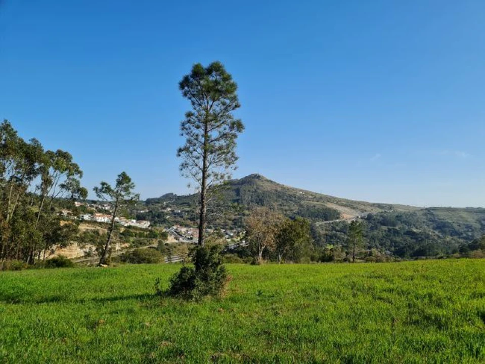 Terreno Misto para Venda em Lousa Foto 1