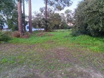 Terreno P/ Prédio para Venda em Azeitão (São Lourenço e São Simão)