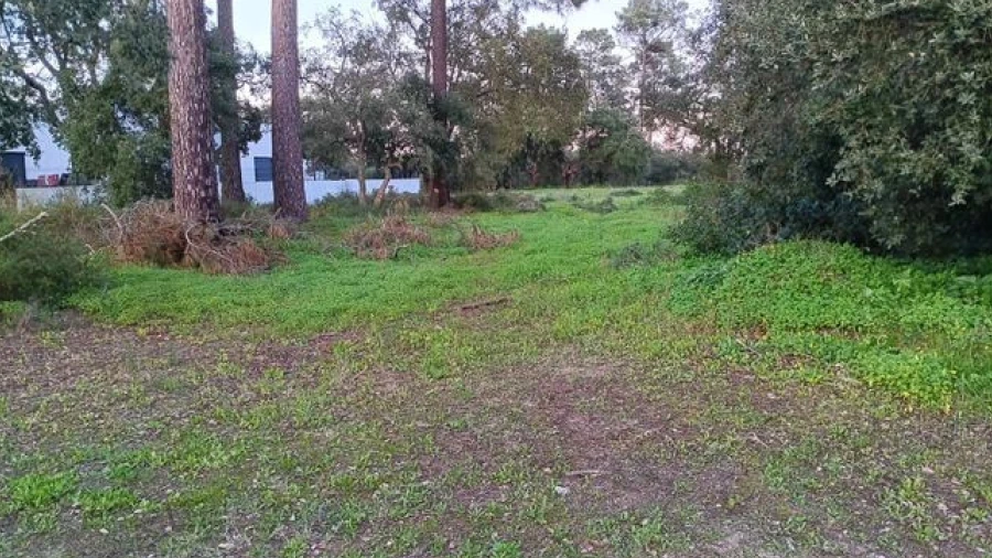 Terreno P/ Prédio para Venda em Azeitão (São Lourenço e São Simão)