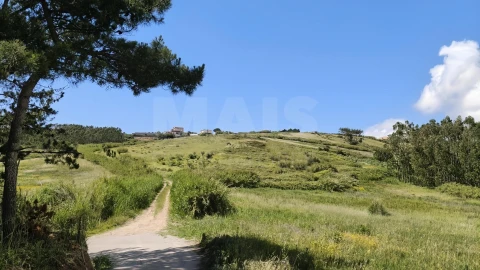Terreno para Venda em Vimeiro