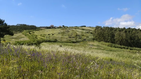 Terreno para Venda em Vimeiro