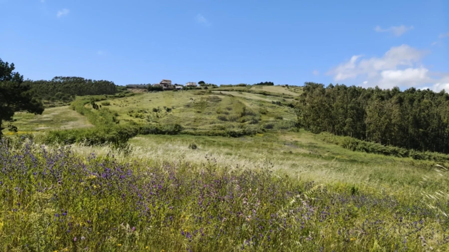 Terreno para Venda em Vimeiro Foto 9
