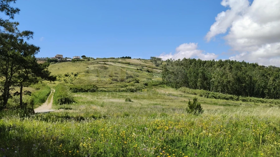 Terreno para Venda em Vimeiro Foto 8