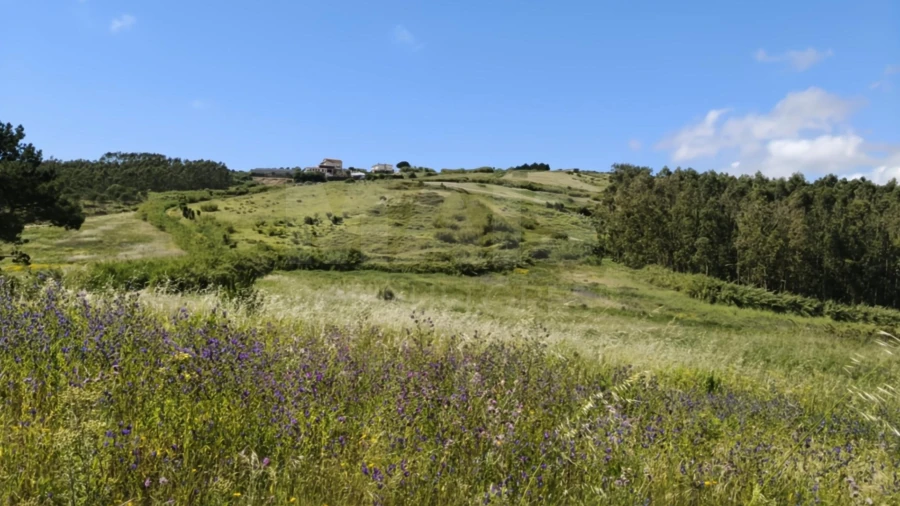 Terreno para Venda em Vimeiro