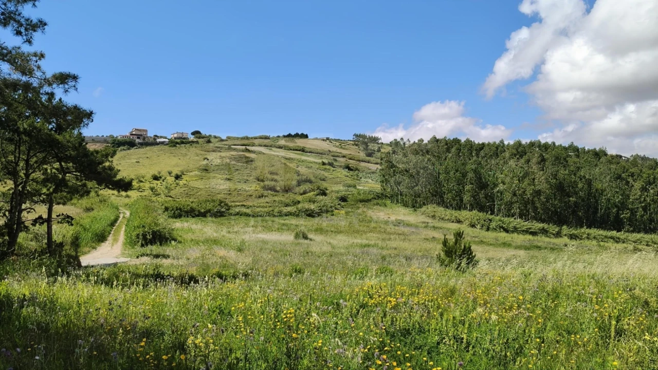 Terreno para Venda em Vimeiro Foto 8
