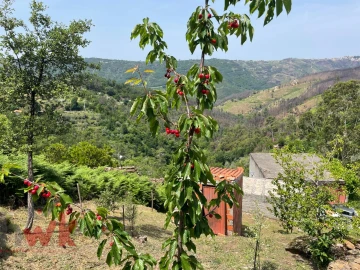 Moradia para Venda em Sandomil