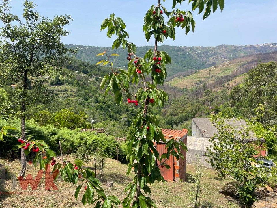 Moradia para Venda em Sandomil Foto 24