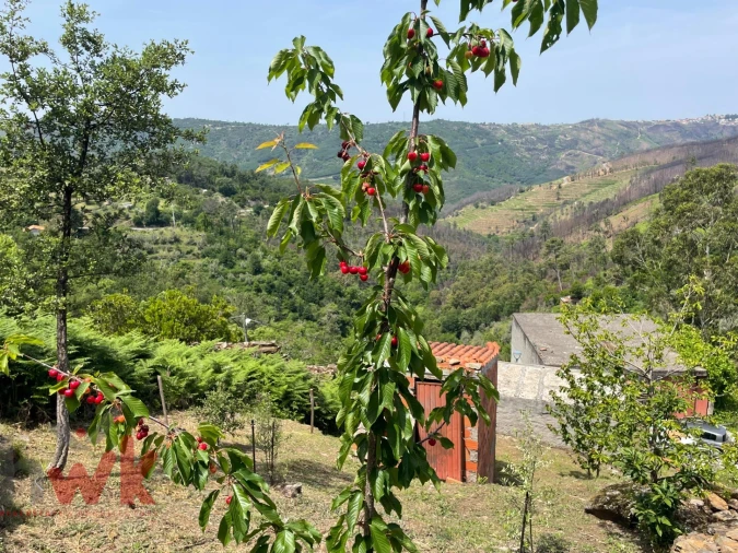 Moradia para Venda em Sandomil Foto 24