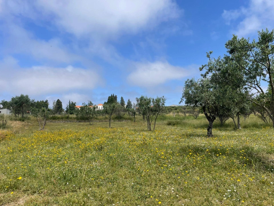 Moradia T4 para Venda em Santa Ovaia e Vila Pouca da Beira Foto 18